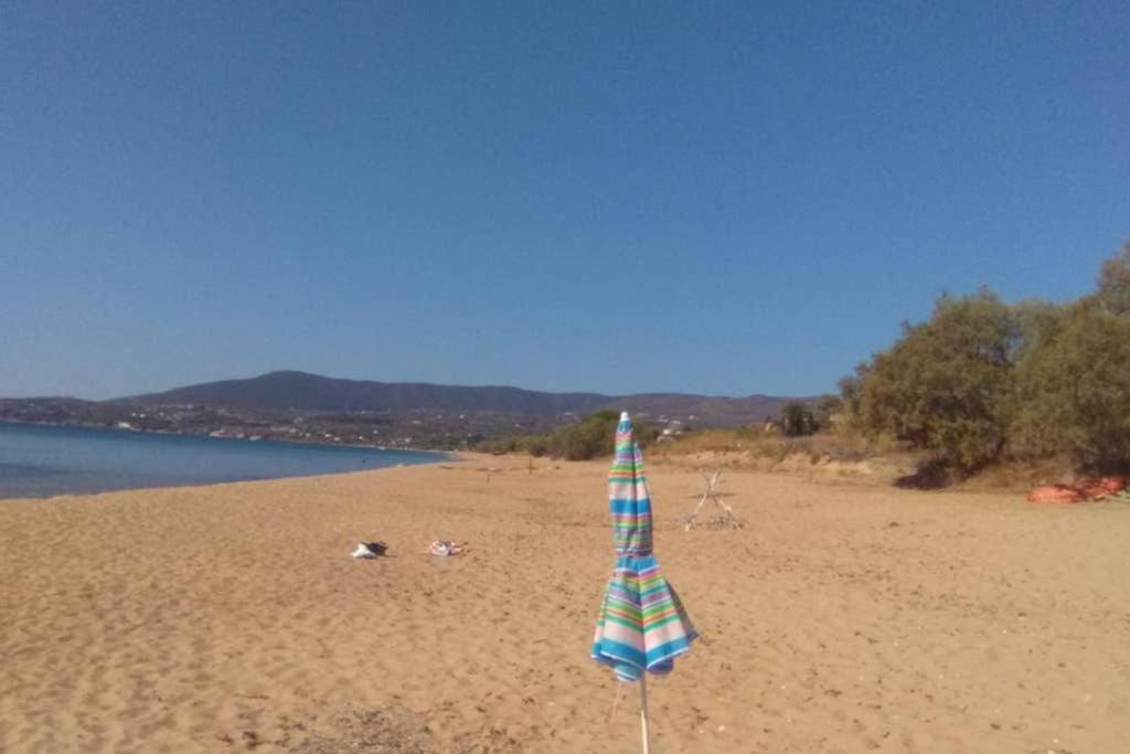 Im Herzen Von Koroni ภายนอก รูปภาพ